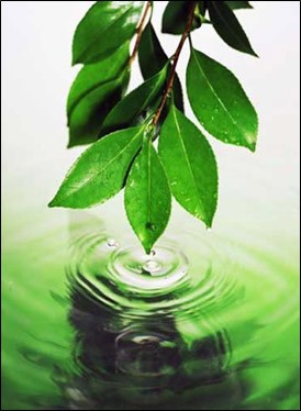 water